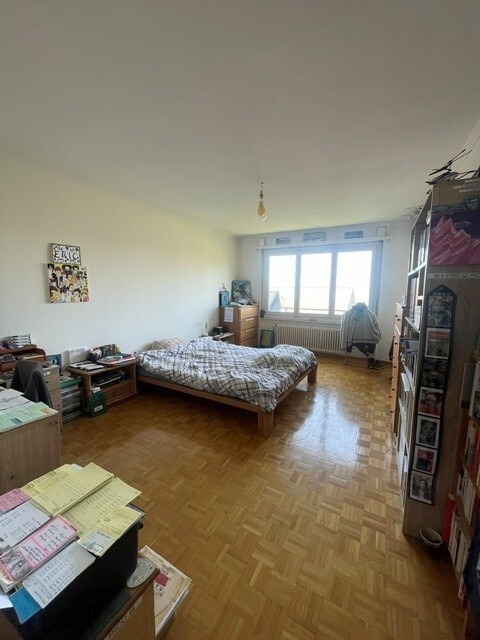 Appartement de 10.5 pièces à Pully 4