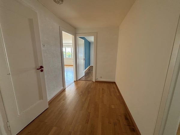 Appartement de 3,5 pces avec vue sur le lac 3