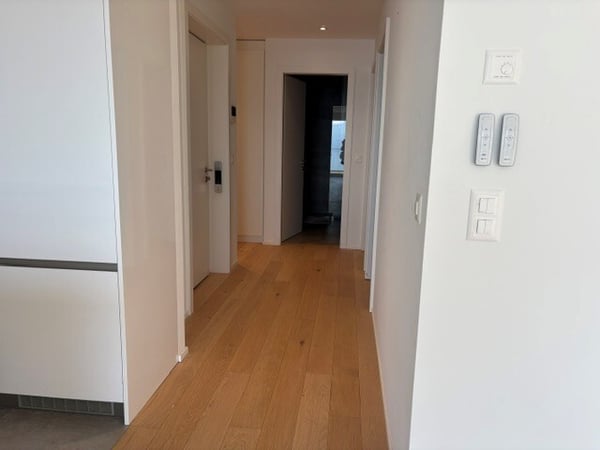 Bel appartement de 3.5 pces avec belle vue lac et montagnes 4