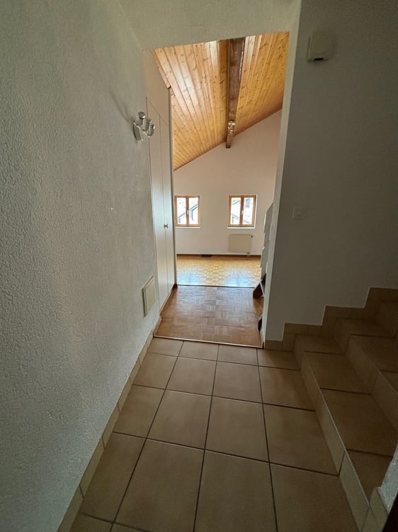 Appartement duplex de 4.5 pièces au rez-de-chaussée 6