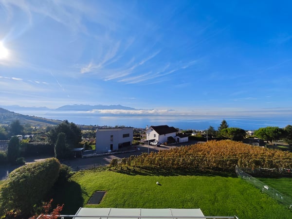 Vue panoramique à 180degrés sur le Léman - Spacieux 4.5 pièces 10