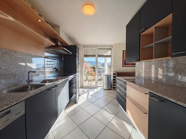 Vue panoramique à 180degrés sur le Léman - Spacieux 4.5 pièces 4