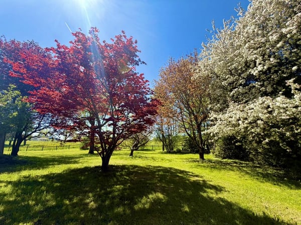 Magnifique ferme renovée dans un coin de Paradis 12