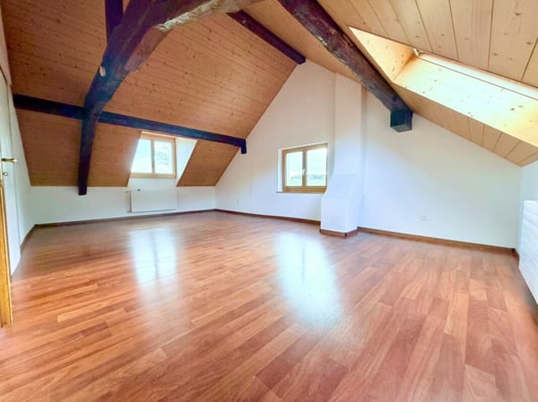 Grande Ferme rénovée avec 2 logements et four a pain 7