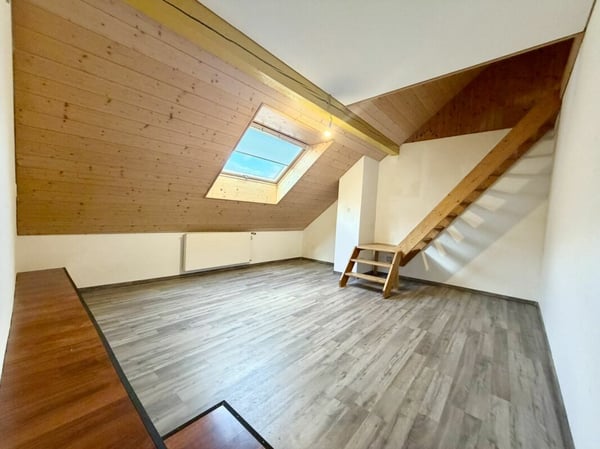 Grande Ferme rénovée avec 2 logements et four a pain 6