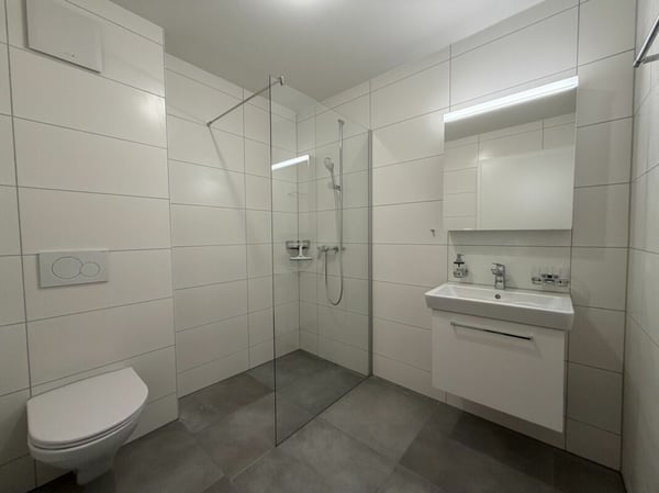 Premier loyer offert ! Appartement 2,5 pièces au rez-de-chaussée à Siselen 8