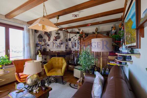 Ecublens - Charmante villa en viager occupé avec vue lac 3