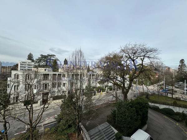 Champel, Bel appartement traversant - Viager occupé 12