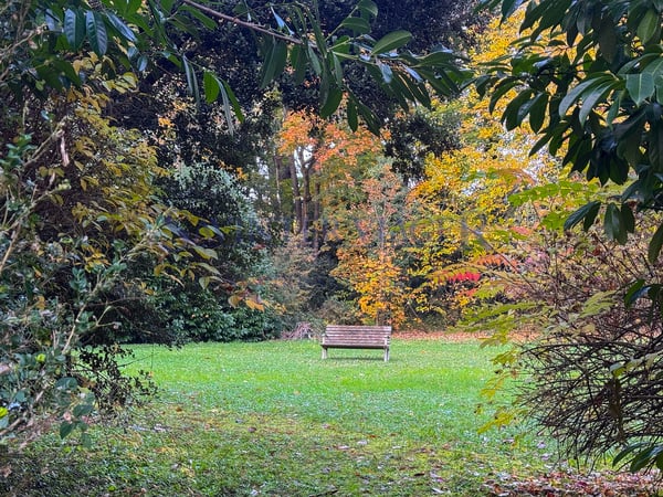 Genève Eaux-Vives, Appartement de standing - Viager occupé 3
