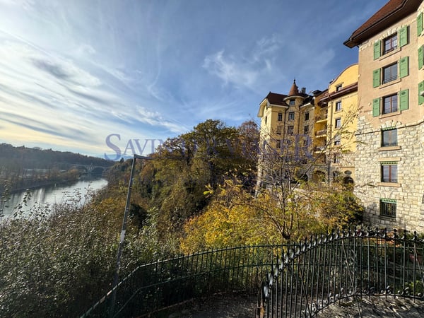 Investissez autrement! Appartement en viager. Geneve-Saint-Jean 8