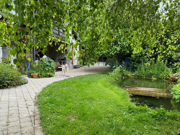 Parcelle de 1969m2. Surfaces à rénover. Source d'eau. 2