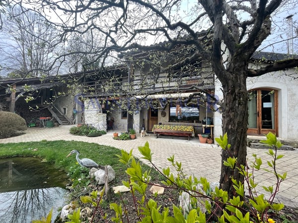 Parcelle de 1969m2. Surfaces à rénover. Source d'eau. 13