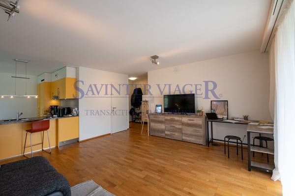 Carouge - Élégant 3 pièces avec vaste balcon et vue dégagée 4