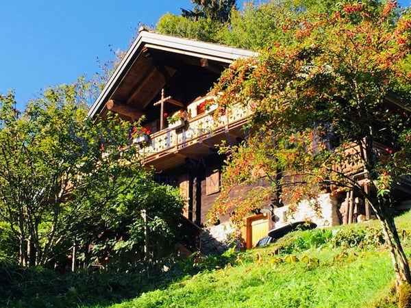 Val-d'Illiez, Pour les amoureux de la nature, superbe chalet en viager 3