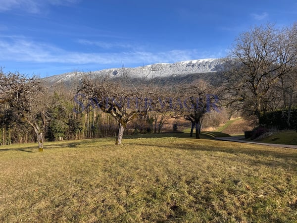 TERRAIN CONSTRUCTIBLE 1723m2 2