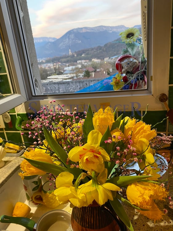 VIAGER. ANNECY. Vue panoramique. 2 Garages inclus. Terrasse 27m2 2