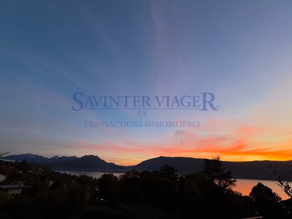Villa sur les toits. Terrasse de 60m2. Vue lac 180. VIAGER. 13