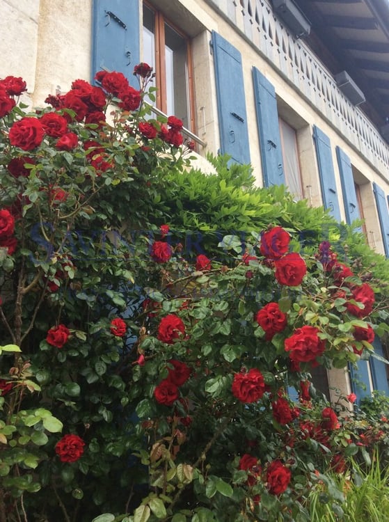 Fontaines-sur-Grandson, Magnifique maison de Village - Vente à terme 6