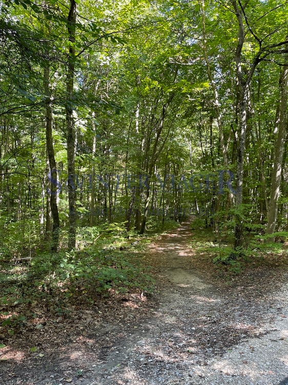 Domaine Impérial de Gland - bel appartement - Viager occupé 11