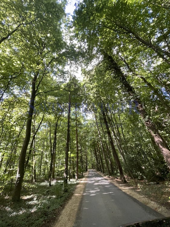 Domaine Impérial de Gland - bel appartement - Viager occupé 12