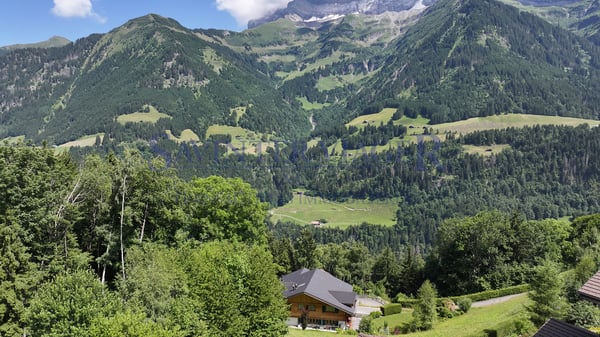 Champéry, Chalet d'Exception de 450 m2 habitables - Viager occupé 4