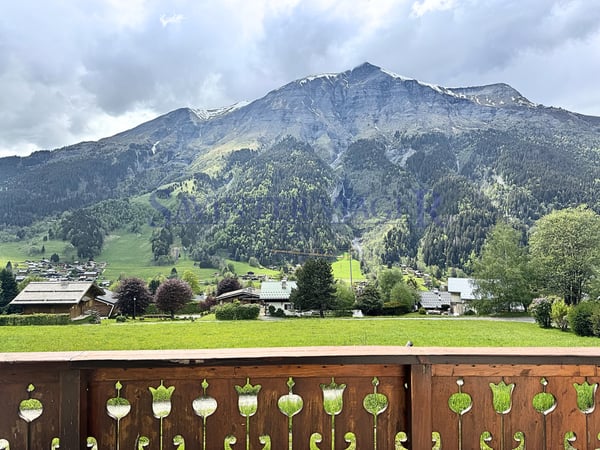 Appartement avec studio indépendant - Vue panoramique 7