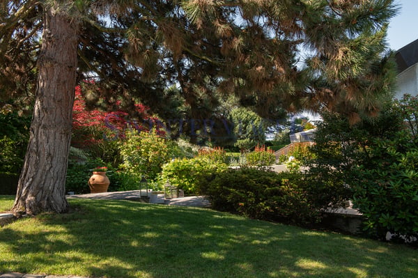 Cologny, Maison d'architecte - Viager occupé 2