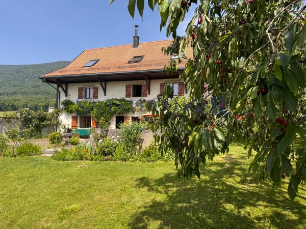 Mollens, Maison de charme - Viager occupé 2