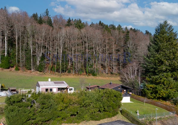 La maison 