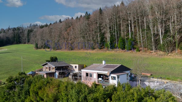 La maison 