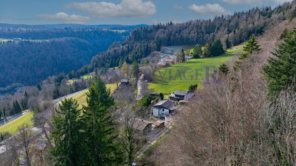La maison 
