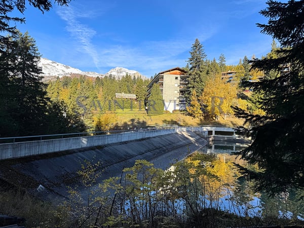 Magnifique vue. Crans-Montana. Viager Occupé. 9