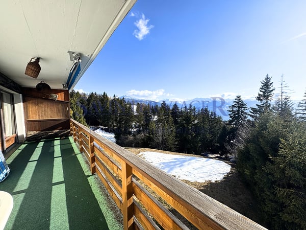 Magnifique vue. Crans-Montana. Viager Occupé. 11