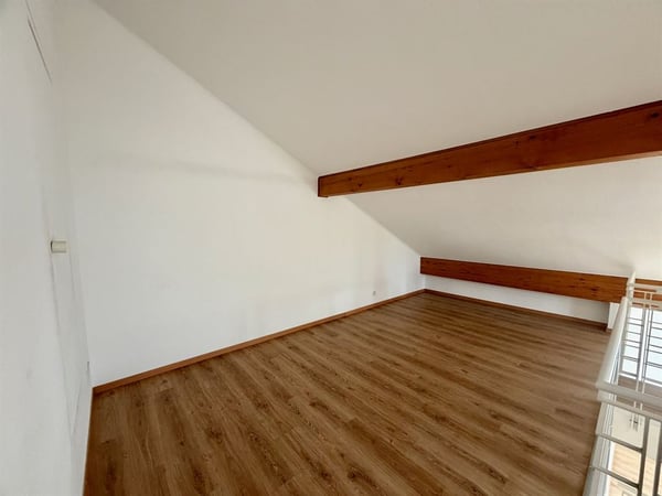 Grand duplex en attique de 5 chambres 13