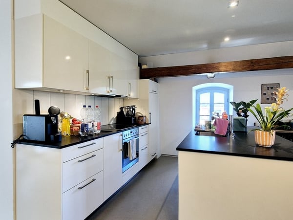 Charmant appartement aux combles 2