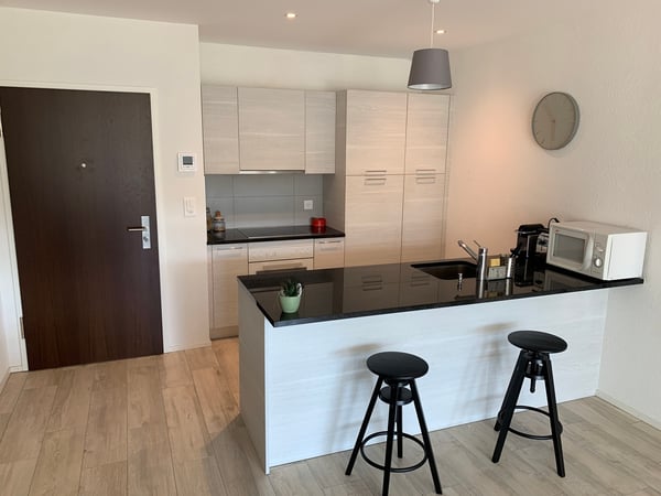 Magnifique appartement de 1.5 pièces 2