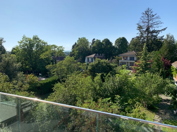 Magnifique appartement de 1.5 pièces 5