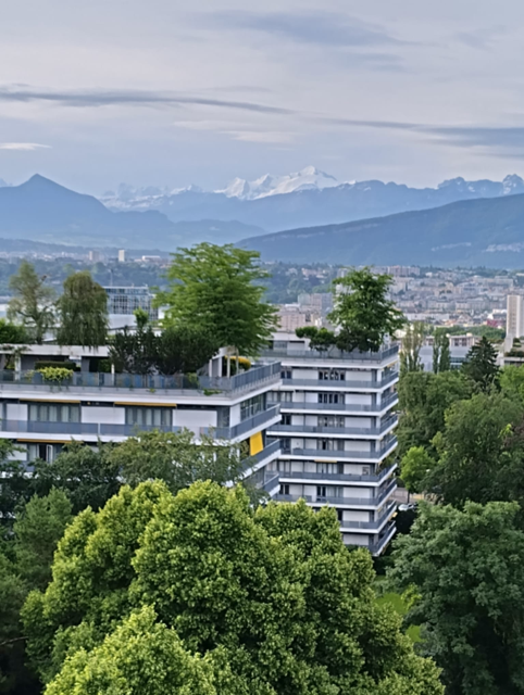 Très bel appartement en viager au Petit-Saconnex avec vue lac et jet de Genève 1