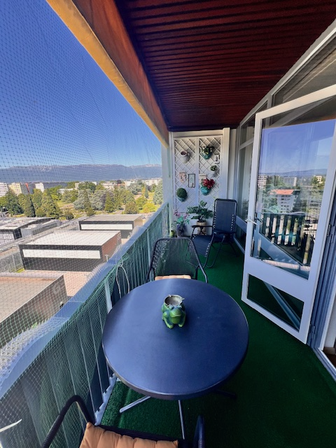 Très bel appartement avec vue lac en viager à Genève 9