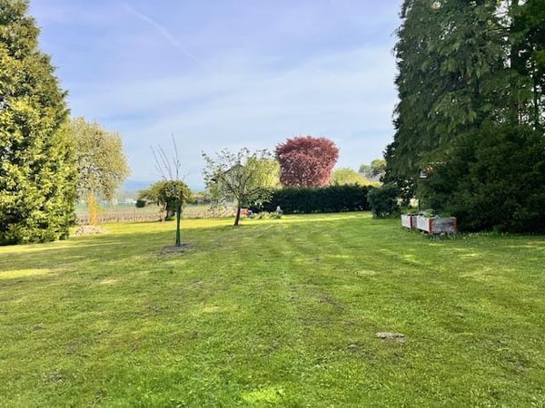 Grande propriété en viager occupé entourée de vignobles à Satigny 4