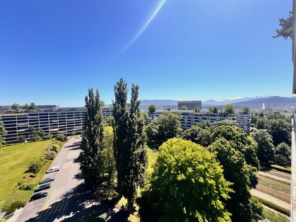 Superbe appartement en viager vue lac à Genève 5