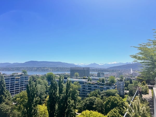 Superbe appartement en viager vue lac à Genève 4