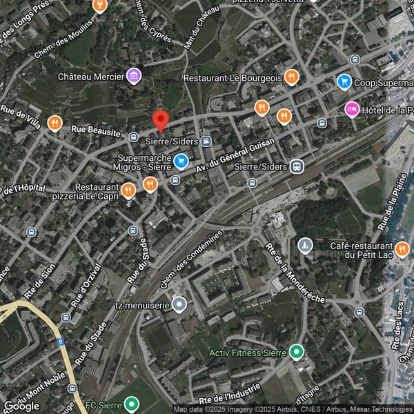 COMMERCE BRUT À SIERRE 9