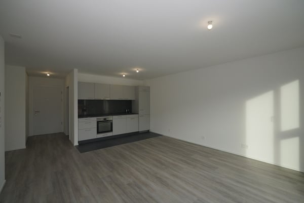 APPARTEMENT 1.5 PIÈCES À LOUER AU CENTRE DE SIERRE 5