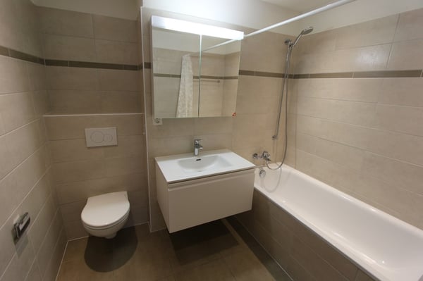 APPARTEMENT DE 1.5 PIÈCES SUR LES HAUTS DE SIERRE 3