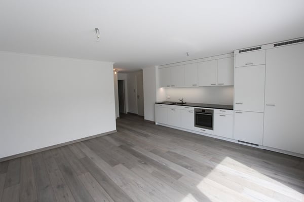 ATTIQUE DE 2.5PIÈCES AVEC TERRASSE DE 40M2 5