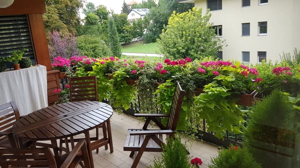 Magnifique appartement de 6 pièces de 169 m² dans un quartier résidentiel recherché de Colombier 3
