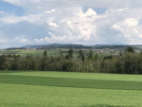 Nouvelle promotion de 1 villas individuelles 8