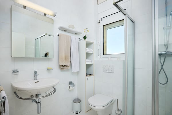 Très bel appartement avec vue exceptionnelle sur le Lac et les Alpes 9
