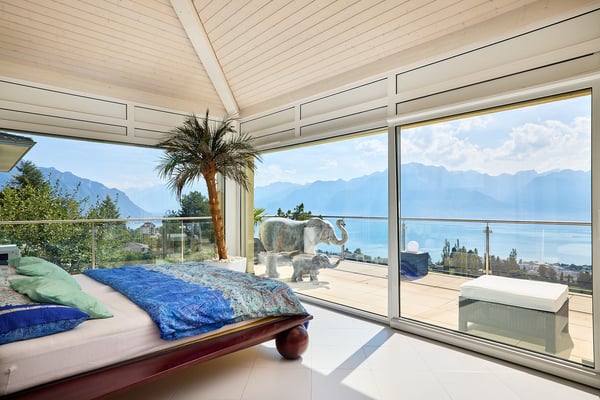 Très bel appartement avec vue exceptionnelle sur le Lac et les Alpes 2